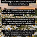 2 + 2 ได้เท่าไหร่